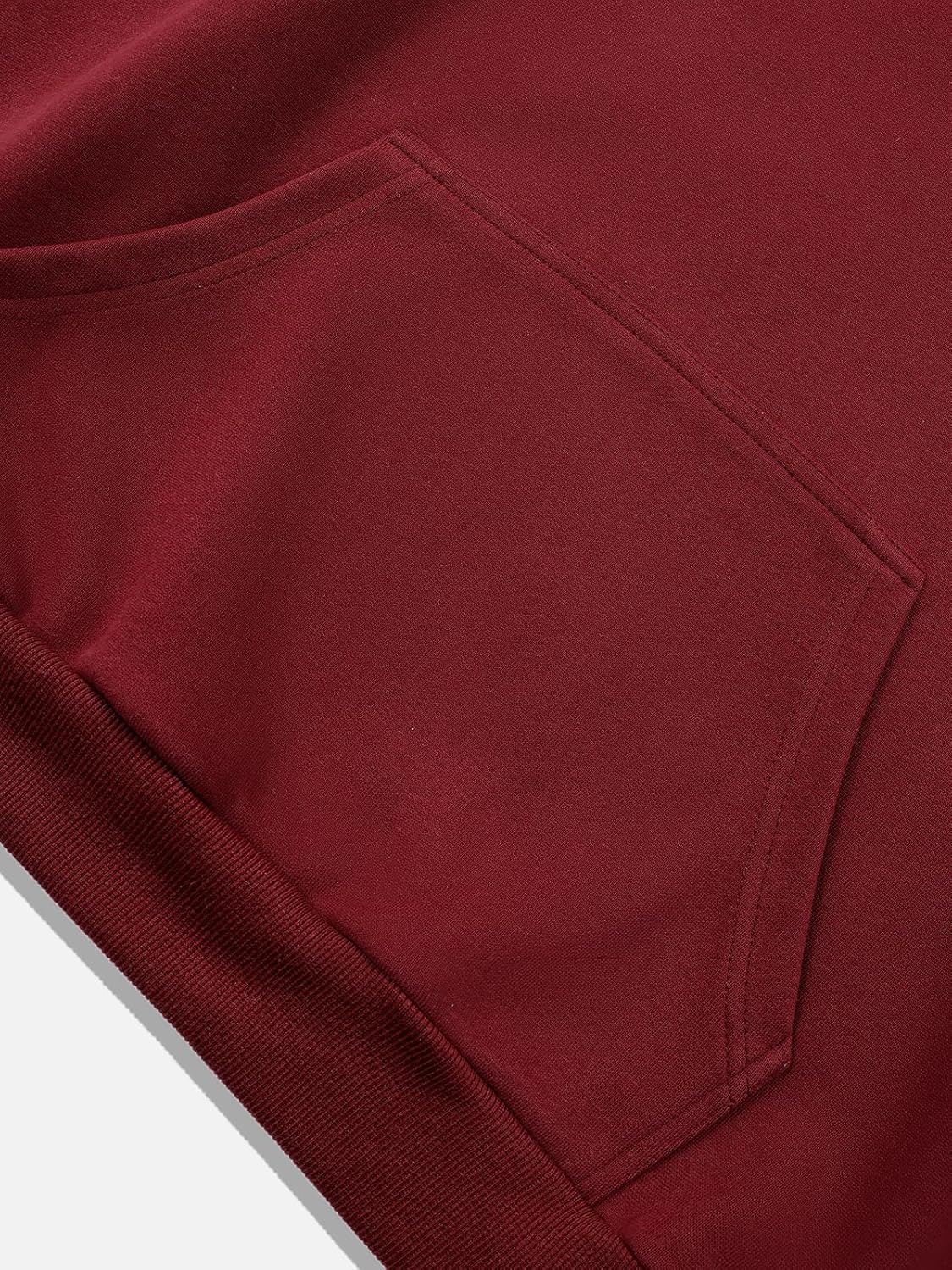imageAelfric Eden Oversized Hoodie for Men Vintage Streetwear Graphic Long Sleeve Pullover Hoodies TopsRed