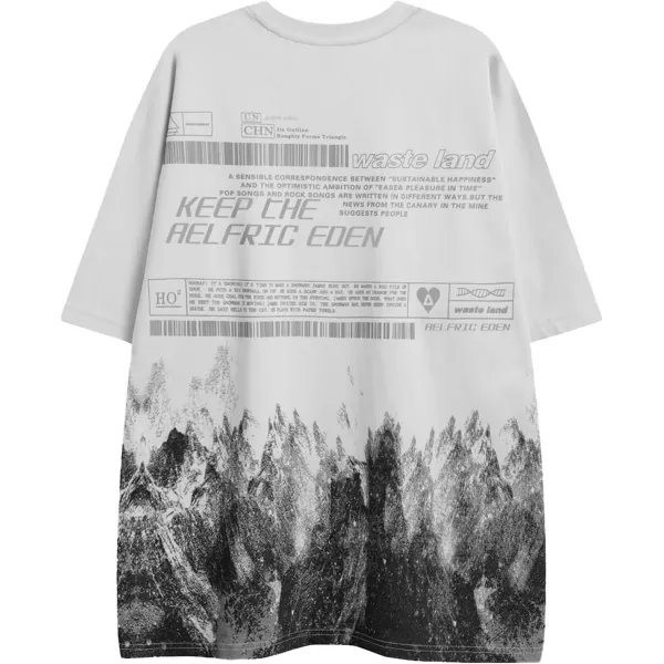 imageAelfric Eden Mens Oversized Tshirts Snow Mountain Graphic Tee Print Tops Streetwear Casual ShirtGray