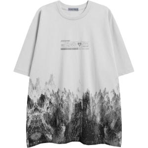 imageAelfric Eden Mens Oversized Tshirts Snow Mountain Graphic Tee Print Tops Streetwear Casual ShirtGray White