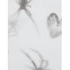 imageAelfric Eden T Shirts Blurring Spider Print Tee Washed Tee Shirt Casual Soft Short Sleeve 2025 Trendy TopsWhite