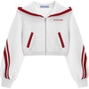 image:imageAelfric Eden Cropped Contrast Stripe Zip Up Hoodie Casual Y2K JacketGrey