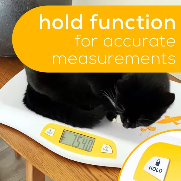 Beurer BY90 Baby Scale Pet Scale Digital with Measuring Tape tracking weight with App  For Infant Newborn Toddler Puppy Cat  Animals  LCD Display weighs LbsKgOz Highly accurateBaby Scale