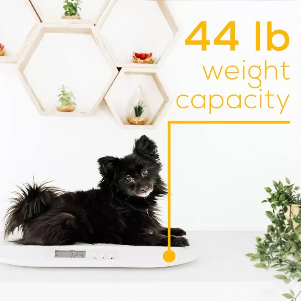 Beurer BY90 Baby Scale Pet Scale Digital with Measuring Tape tracking weight with App  For Infant Newborn Toddler Puppy Cat  Animals  LCD Display weighs LbsKgOz Highly accurateBaby Scale with Bluetooth