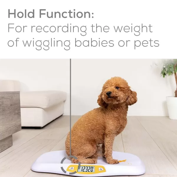 Beurer BY80 Digital Baby Scale Infant Scale for Weighing in Pounds Ounces or Kilograms up to 44 lbs with Hold Function Pet Scale for Cats and DogsBaby Scale