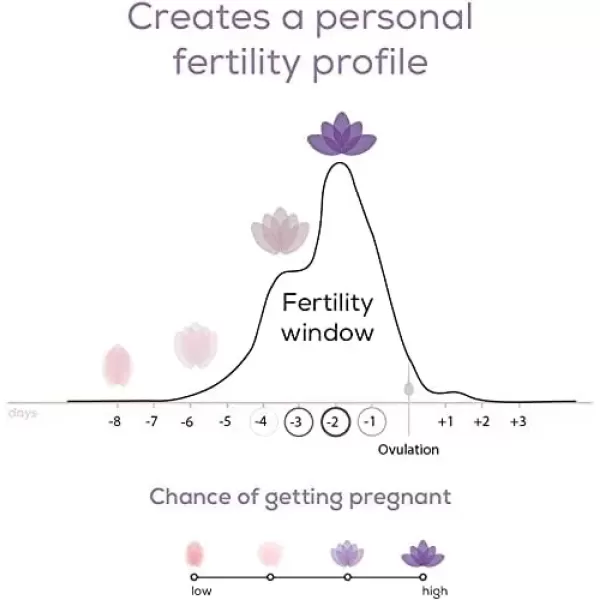 imageBeurer Ovulation Test Strips and Pregnancy Test Kit  Ovulation Predictor Kit with 15 FSH and 15 LH Strips  Fertility Test Connects to Pearl Fertility App for Natural Family Planning OT80