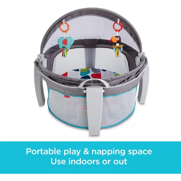 FisherPrice Baby Portable Bassinet and Play Space OntheGo Baby Dome with 2 Toys and Canopy Puppy Perfection Amazon ExclusiveColor Climbers
