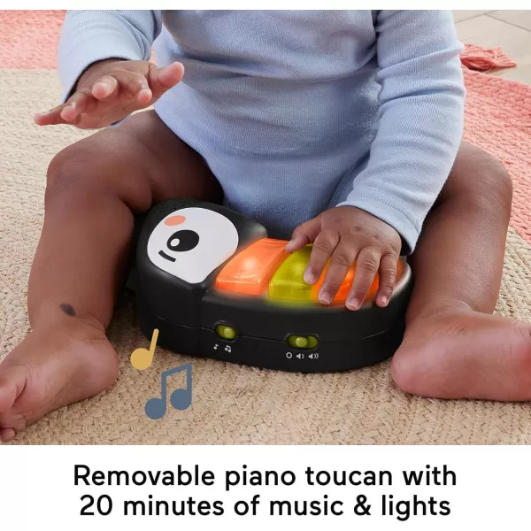 FisherPrice Baby Bouncer Color Climbers Jumperoo Activity Center with Music Lights amp Developmental Toys Amazon ExclusivePalm Paradise Jumperoo