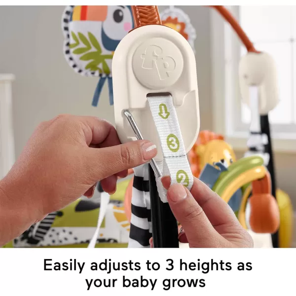 FisherPrice Baby Bouncer Color Climbers Jumperoo Activity Center with Music Lights amp Developmental Toys Amazon ExclusivePalm Paradise Jumperoo