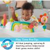 imageFisherPrice Baby Bouncer Palm Paradise Jumperoo Activity Center with Music Lights Sounds and Developmental ToysBlooming Fun Jumperoo