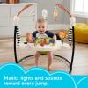 imageFisherPrice Baby Bouncer Palm Paradise Jumperoo Activity Center with Music Lights Sounds and Developmental ToysJungle Jumperoo