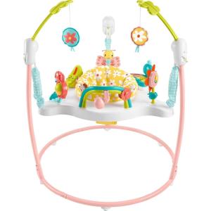imageFisherPrice Baby Bouncer Palm Paradise Jumperoo Activity Center with Music Lights Sounds and Developmental ToysBlooming Fun Jumperoo