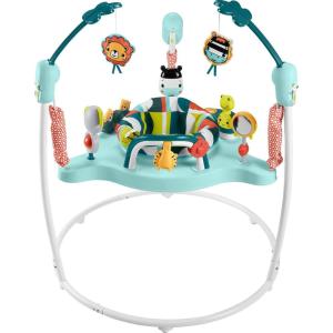imageFisherPrice Baby Bouncer Palm Paradise Jumperoo Activity Center with Music Lights Sounds and Developmental ToysColorful Jumperoo