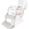 imageFisherPrice Step Up Potty 2N1 Toddler Potty Training Seat and Step Stool White
