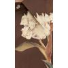 image:imageVince Womens Placed Cream Iris Button DownDk Bark