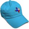 imageSoft Baseball Cap Texas State Flag Map A Embroidery Flags State Cotton Country Dad Hats for Men ampamp WomenAqua Design Only