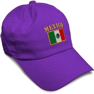 imageSoft Baseball Cap Mexico Flag Embroidery Flags World Cup Soccer Cotton Embroidered Dad Hats for Men ampamp WomenPurple Design Only