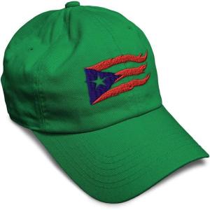 imageCustom Soft Baseball Cap Puerto Rico Flame Flag Black Embroidery Flags Twill Cotton Dad Hats for Men ampamp WomenKelly Green Design Only