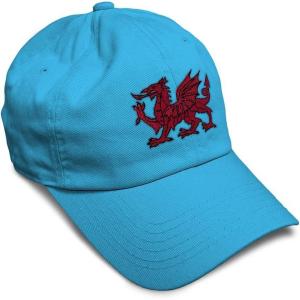 imageSoft Baseball Cap Wales Flag Dragon Seal Embroidery Europe Twill Cotton Dad Hats for Men ampamp WomenAqua Design Only