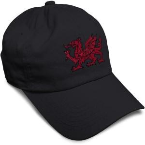 imageSoft Baseball Cap Wales Flag Dragon Seal Embroidery Europe Twill Cotton Dad Hats for Men ampamp WomenBlack Design Only