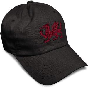 imageSoft Baseball Cap Wales Flag Dragon Seal Embroidery Europe Twill Cotton Dad Hats for Men ampamp WomenDark Denim Design Only