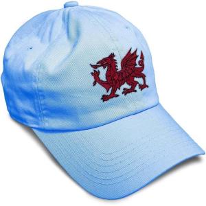 imageSoft Baseball Cap Wales Flag Dragon Seal Embroidery Europe Twill Cotton Dad Hats for Men ampamp WomenLight Blue Design Only