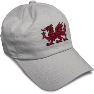 imageSoft Baseball Cap Wales Flag Dragon Seal Embroidery Europe Twill Cotton Dad Hats for Men ampamp WomenLight Grey Design Only