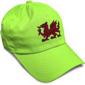 imageSoft Baseball Cap Wales Flag Dragon Seal Embroidery Europe Twill Cotton Dad Hats for Men ampamp WomenLime Design Only