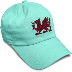 imageSoft Baseball Cap Wales Flag Dragon Seal Embroidery Europe Twill Cotton Dad Hats for Men ampamp WomenMint Design Only