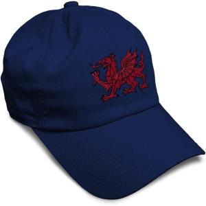 imageSoft Baseball Cap Wales Flag Dragon Seal Embroidery Europe Twill Cotton Dad Hats for Men ampamp WomenNavy Design Only