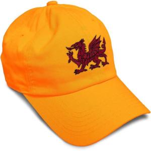 imageSoft Baseball Cap Wales Flag Dragon Seal Embroidery Europe Twill Cotton Dad Hats for Men ampamp WomenOrange Design Only