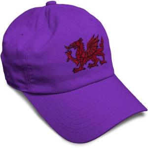 imageSoft Baseball Cap Wales Flag Dragon Seal Embroidery Europe Twill Cotton Dad Hats for Men ampamp WomenPurple Design Only