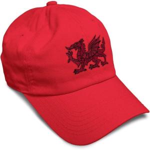 imageSoft Baseball Cap Wales Flag Dragon Seal Embroidery Europe Twill Cotton Dad Hats for Men ampamp WomenRed Design Only