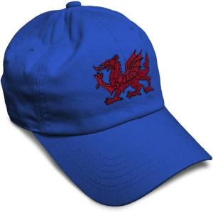 imageSoft Baseball Cap Wales Flag Dragon Seal Embroidery Europe Twill Cotton Dad Hats for Men ampamp WomenRoyal Blue Design Only