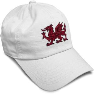 imageSoft Baseball Cap Wales Flag Dragon Seal Embroidery Europe Twill Cotton Dad Hats for Men ampamp WomenWhite Design Only