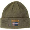 imageSpeedy Pros Patch Beanie for Men ampamp Women Iceland Flag Embroidery Skull Cap Hats 1 SizeOlive Green