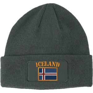 imageSpeedy Pros Patch Beanie for Men ampamp Women Iceland Flag Embroidery Skull Cap Hats 1 SizeDark Grey