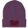 imageBeanies for Men Wales Flag Dragon Seal Embroidery Europe Winter Hats for Women Acrylic Skull Cap 1 SizePurple Design Only