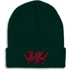 imageBeanies for Men Wales Flag Dragon Seal Embroidery Europe Winter Hats for Women Acrylic Skull Cap 1 SizeForest Green Design Only