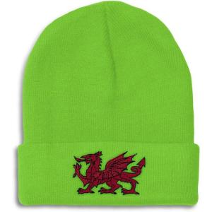 imageBeanies for Men Wales Flag Dragon Seal Embroidery Europe Winter Hats for Women Acrylic Skull Cap 1 SizeLime Design Only