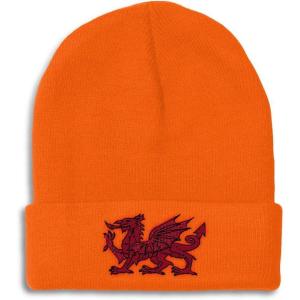 imageBeanies for Men Wales Flag Dragon Seal Embroidery Europe Winter Hats for Women Acrylic Skull Cap 1 SizeOrange Design Only