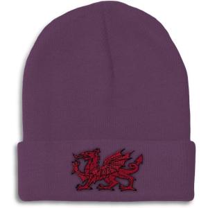 imageBeanies for Men Wales Flag Dragon Seal Embroidery Europe Winter Hats for Women Acrylic Skull Cap 1 SizePurple Design Only
