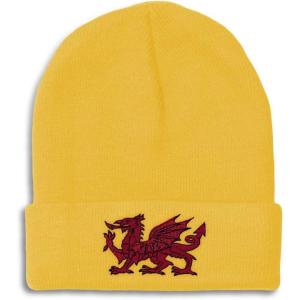 imageBeanies for Men Wales Flag Dragon Seal Embroidery Europe Winter Hats for Women Acrylic Skull Cap 1 SizeYellow Design Only
