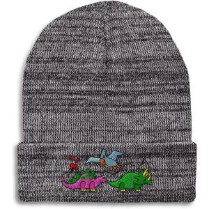 imageCustom Beanies for Men PreHistoric Dinosaurs Embroidery Winter Hats for Women Acrylic Skull Cap 1 SizeHeather Grey Design Only