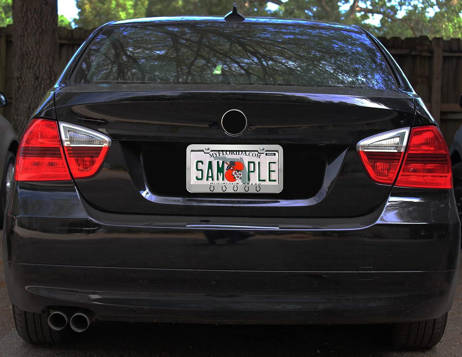 imageSpeedy Pros Metal License Plate Frame Horseshoe Horseshoes Metal Tag Holder Car Accessories Black 2 Holes 1 FrameWhite 2 Holes