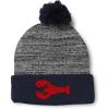 imagePom Pom Beanies for Women Lobster B Embroidery Skull Cap Winter Hats for Men Acrylic 1 SizeHeather Gray Navy Design Only