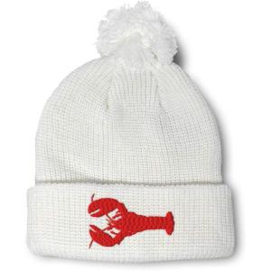 imagePom Pom Beanies for Women Lobster B Embroidery Skull Cap Winter Hats for Men Acrylic 1 SizeWhite Design Only