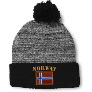 imageSpeedy Pros Pom Pom Beanies for Women Norway Flag Embroidery Skull Cap Flags Winter Hats for Men Acrylic 1 SizeHeather Gray Black Design Only
