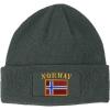 imageSpeedy Pros Patch Beanie for Men ampamp Women Norway Flag Embroidery Skull Cap Hats 1 SizeDark Grey