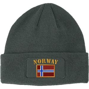 imageSpeedy Pros Patch Beanie for Men ampamp Women Norway Flag Embroidery Skull Cap Hats 1 SizeDark Grey