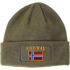 imageSpeedy Pros Patch Beanie for Men ampamp Women Norway Flag Embroidery Skull Cap Hats 1 SizeOlive Green